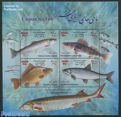 Caspian sea deals fish