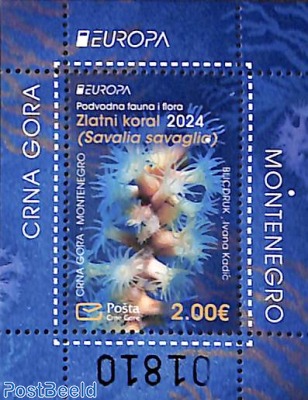 Europa, marine life s/s