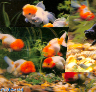 3D-Postcard set, Goldfish (4 cards)