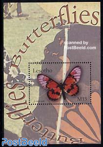 Butterflies s/s, Acraea satis