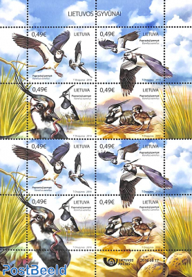 Birds m/s