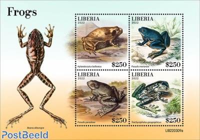 Frogs