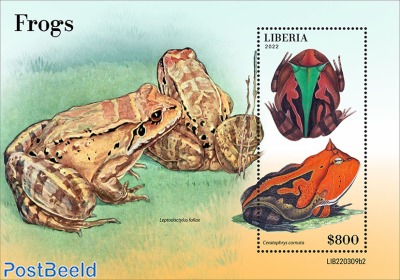 Frogs