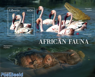 African fauna