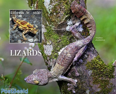 Lizards