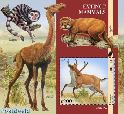 Extinct Mammals