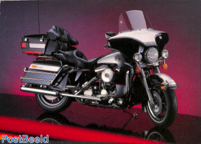 Harley Davidson Electric Glide