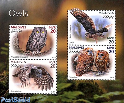Owls 4v m/s