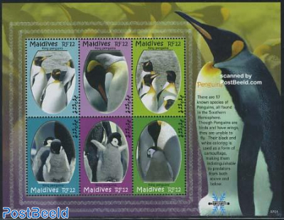 Penguins 6v m/s