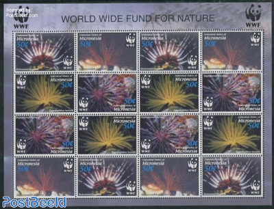 WWF, Corals m/s with 4 sets