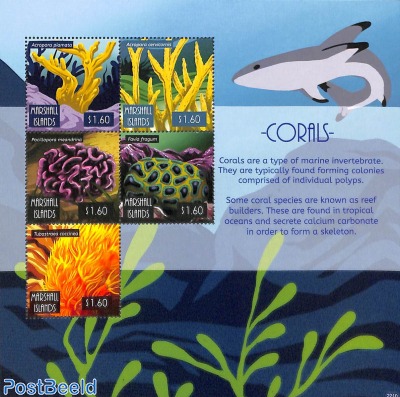 Corals 5v m/s