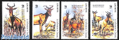 Animals 4v 