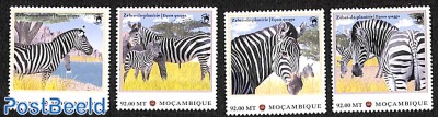 Zebra 4v