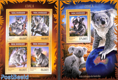 Koala's 2 s/s