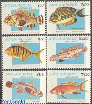 Tropical fish 6v