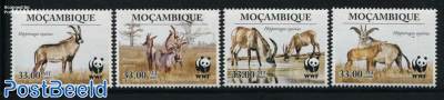 WWF, Roan Antelope 4v