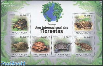 Int. Forest year, Turtles 6v m/s