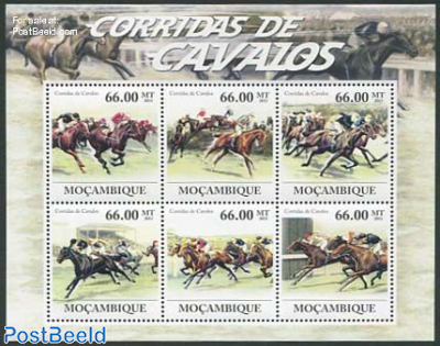 Horse sports 6v m/s