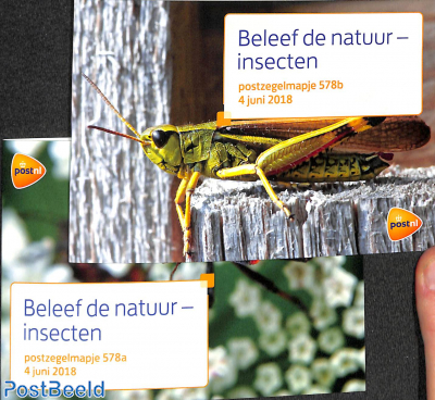 Insects, presentation pack 578a+b