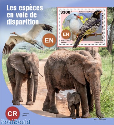 Endangered species 