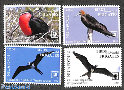 Frigate birds 4v