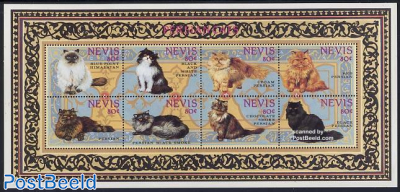 Persian cats 8v m/s