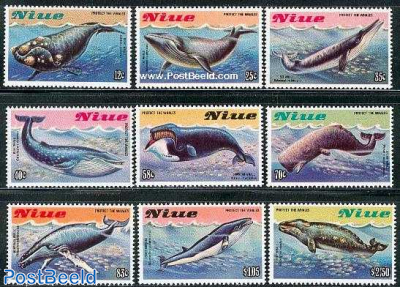 Whales 9v