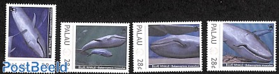 Whales 4v
