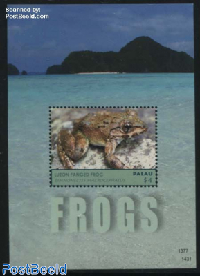 Frogs s/s