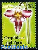 Orchid 1v