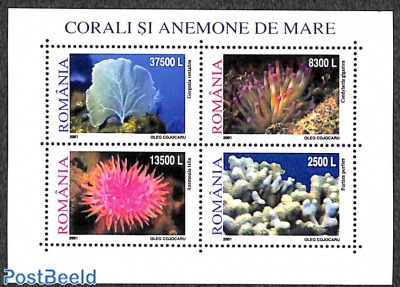 Corals 4v m/s