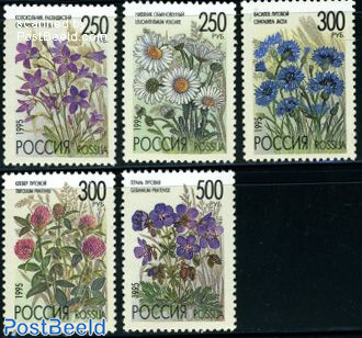 Field flowers 5v
