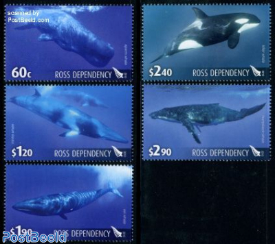 Whales 5v