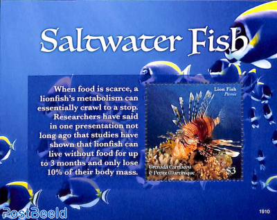 Saltwater fish s/s
