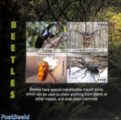 Beetles 4v m/s