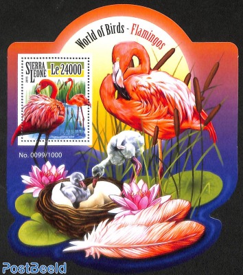 flamingos