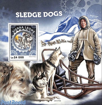 sledge dogs