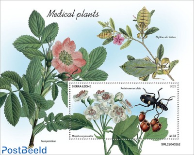 Medical plants