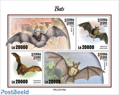 Bats