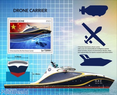 Drone carrier