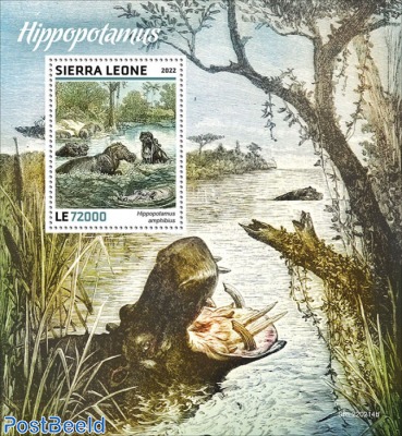 Hippos