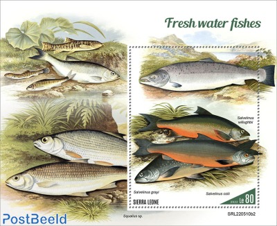 Fresh water fishes