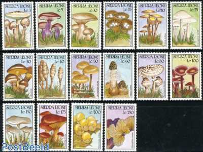 Mushrooms 16v