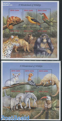 African fauna 12v (2 m/s)