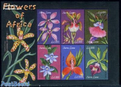 African orchids 6v m/s