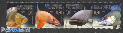 Fish from river Sava 4v [:::]