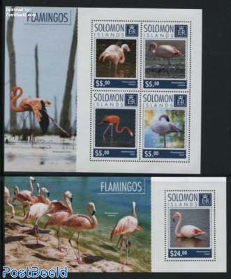 Flamingos 2 s/s