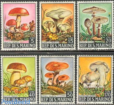 Mushrooms 6v