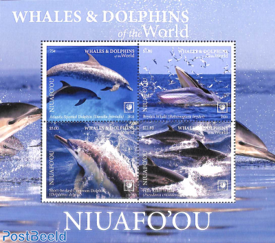 Dolphins 4v m/s (white borders)