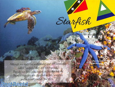 Starfish s/s